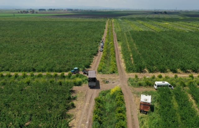 Amik Ovası’nda tarımsal üretim Kovid-19 tedbirleriyle aralıksız sürüyor