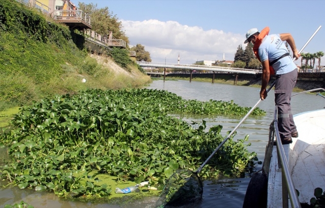 Asi Nehri üzerindeki su sümbüllerine bariyerli çözüm