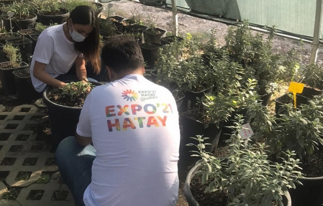 EXPO bahçeleri gönüllülerle büyüyor
