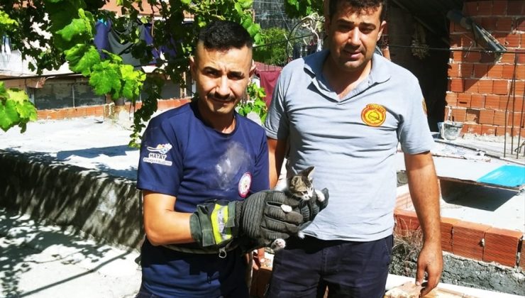 Kedi yavrusunu itfaiye ekipleri kurtardı