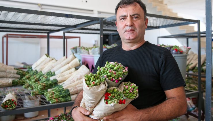 Türkiye, botanik EXPO’lara hazırlanıyor
