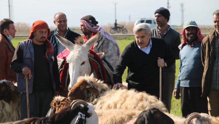 AK Parti’li Yayman, Çobanları Dinledi