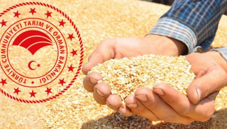 “Hindistan’dan Buğday İthal Edildiği” İddialarına Açıklama