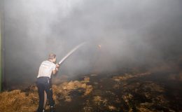 Hassa’da çiftlik yangını