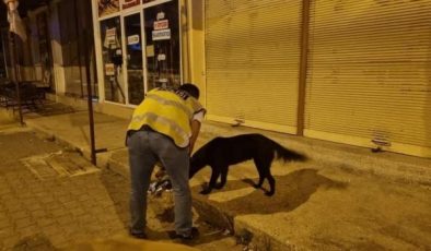 Sokak Hayvanlarına Polis Şefkati