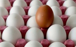 Yumurta Fiyatları Yüzde 400 Zamlandı