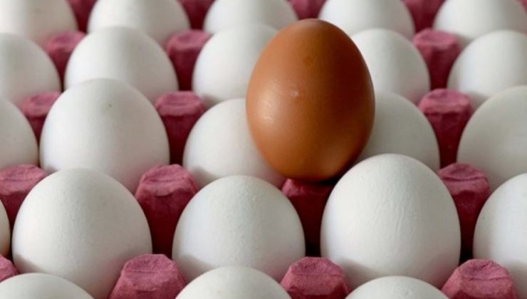 Yumurta Fiyatları Yüzde 400 Zamlandı