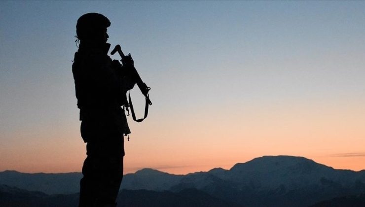 Türkiye’ye girmeye çalışan PKK’lı 2 terörist Suriye sınırında yakalandı