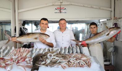 Balıkçılarımız Özel Teşviklerle Desteklenmeli