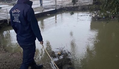 Sulama Kanalında Erkek Cesedi Bulundu