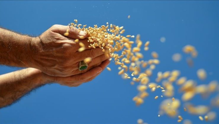 Ocak ayında hububat, bakliyat, yağlı tohumlar ihracatı 1,03 milyar dolar oldu