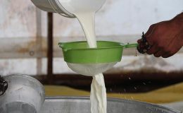Türkiye’de 2023’te 21,5 milyon ton çiğ süt üretildi